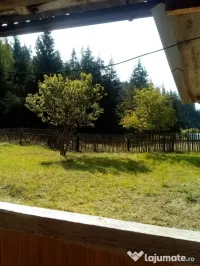 Teren intravilan in Toplita 5002mp pe str. Padureni + extravilan 1100mp (padure) 