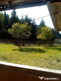 Teren intravilan in Toplita 5002mp pe str. Padureni + extravilan 1100mp (padure)