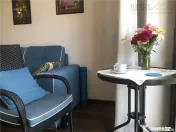 Apartament in natura, zona nepoluata, Coasta Vie Sacele Cer 