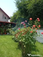 CASA COCHETA CU TEREN GENEROS - CATARGIU