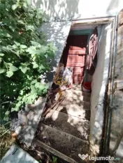 Casa de locuit (Ditrau, str. Livezii) 