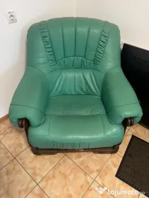 Set 2 fotolii piele verzi
