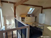 Apartament modern la curte 