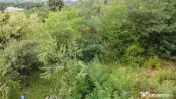 Teren 1,130mp Glodeni / Dambovita 