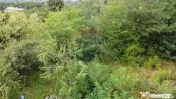 Teren 1,130mp Glodeni / Dambovita 