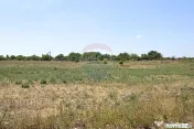 Teren de 416 mp in zona Bujac, fs 17m, Cartier nou 
