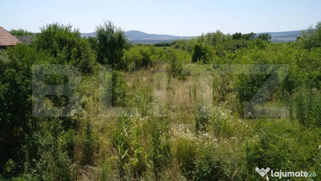 Teren intravilan de vanzare, 35 ari, DN 17, zona Podirei