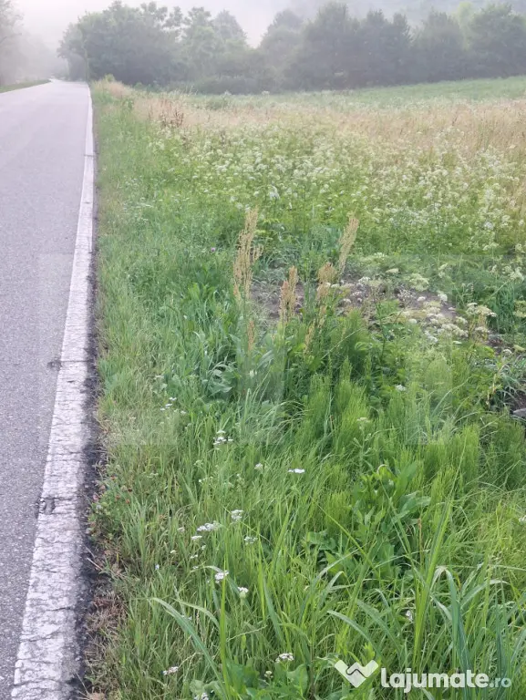 Vand teren la sosea in localiratea Jena