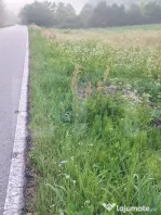 Teren la sosea, 5200 mp, localitatea Jena