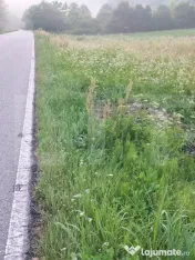Vand teren la sosea in localiratea Jena 