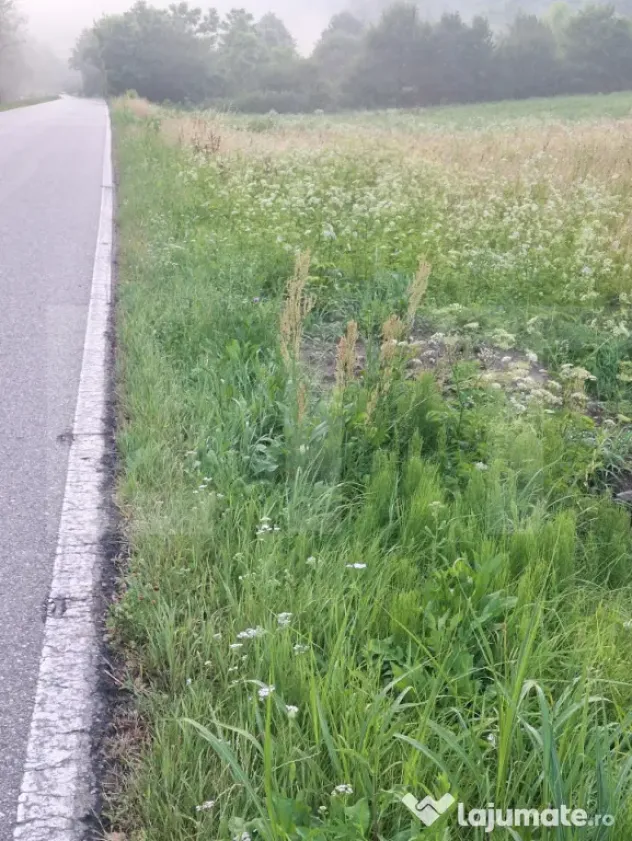 Vand teren la sosea in localiratea Jena