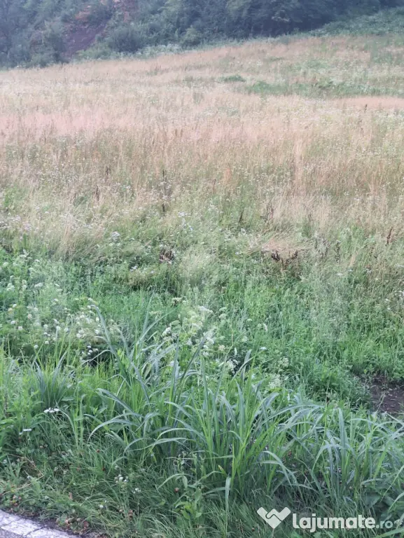 Vand teren la sosea in localiratea Jena