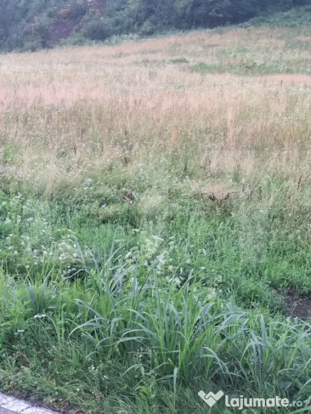 Vand teren la sosea in localiratea Jena