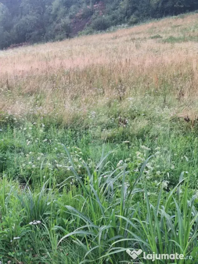 Vand teren la sosea in localiratea Jena