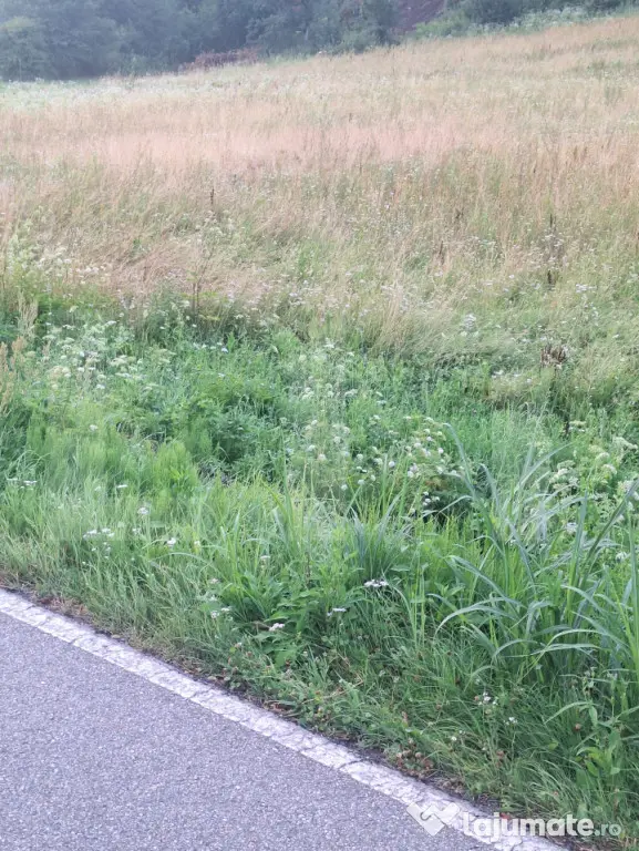 Vand teren la sosea in localiratea Jena