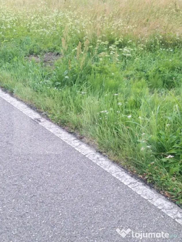 Vand teren la sosea in localiratea Jena