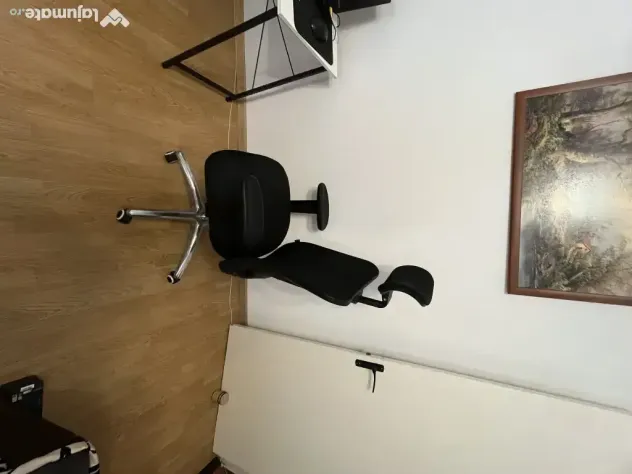 Scaun ergonomic de birou