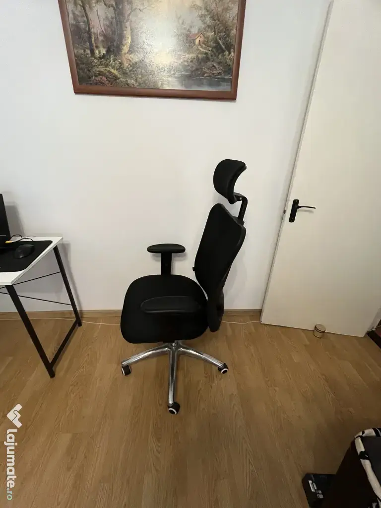 Scaun ergonomic de birou