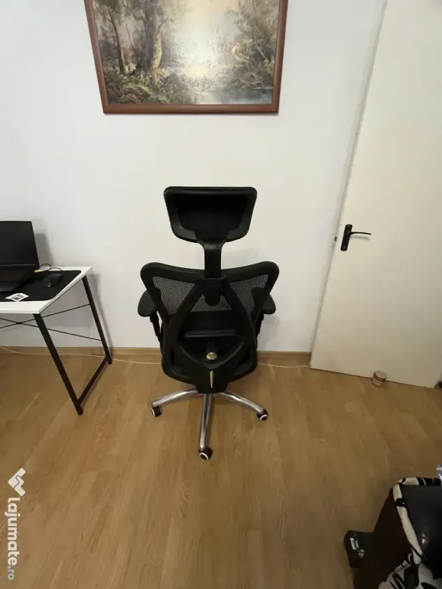 Scaun ergonomic de birou