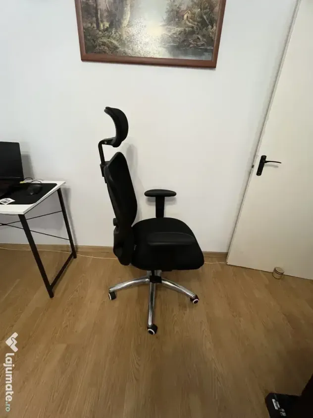 Scaun ergonomic de birou