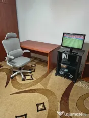 Vitan mall casa de pensii anastasie panu 