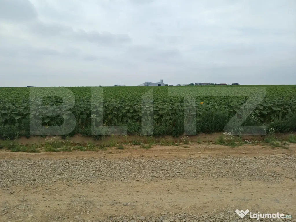 Teren intravilan de vanzare, parcelat, 11379 mp, Salcea