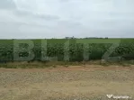 Teren intravilan de vanzare, parcelat, 11379 mp, Salcea