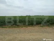 Teren intravilan de vanzare, parcelat, 11379 mp, Salcea 
