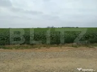 Teren intravilan de vanzare, parcelat, 11379 mp, Salcea 