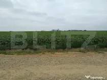 Teren intravilan de vanzare, parcelat, 11379 mp, Salcea