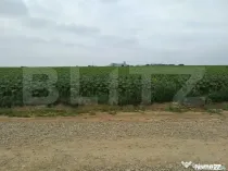 Teren intravilan de vanzare, parcelat, 11379 mp, Salcea