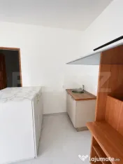Casă individuală spațioasă + spațiu comercial, teren 3. 