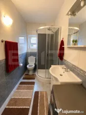 Casă individuală spațioasă + spațiu comercial, teren 3. 