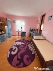 Casă individuală spațioasă + spațiu comercial, teren 3. 