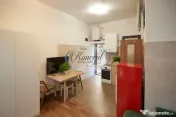 Studio ultracentral cu potential investitional 
