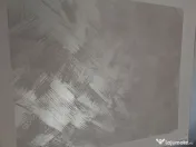 Execut lucrari