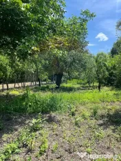 Casă de vânzare – Puchenii Mari, la 15 km de Ploiești 