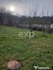 Teren de vânzare – Dragodănești , 1.600 mp 