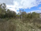 TEREN INTRAVILAN// CORNU DE JOS 