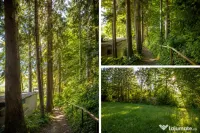 Vilă într-o oază de natură din centrul Brașovului |180 mp |Teren 360mp