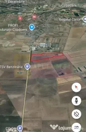 Teren 40ha Adunatii Copăceni | Industrial/ Logistic 