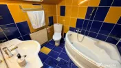 Casa 7 camere zona Calea Dumbravii 