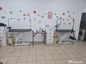 Frizerie Canina si Felina de vanzare! 
