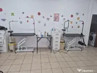 Frizerie Canina si Felina de vanzare! 
