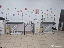 Frizerie Canina si Felina de vanzare!