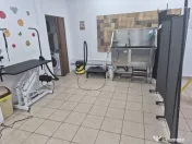 Frizerie Canina si Felina de vanzare! 