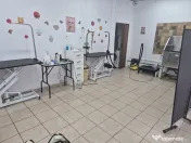 Frizerie Canina si Felina de vanzare! 