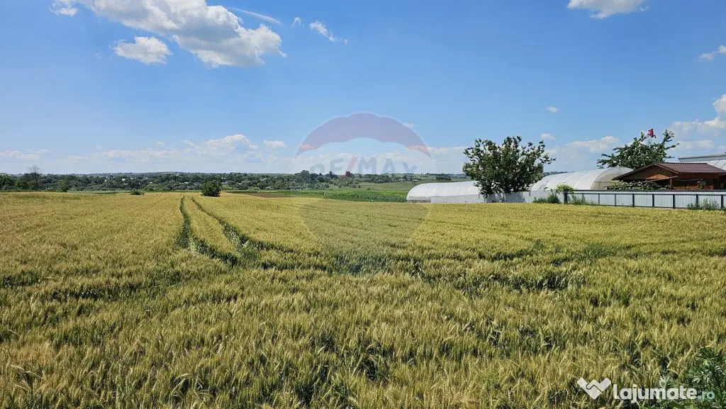 Teren 15,000mp Salcea-Prelipca, Suceava