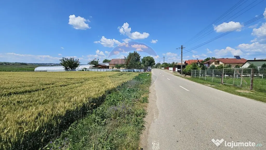 Teren 15,000mp Salcea-Prelipca, Suceava