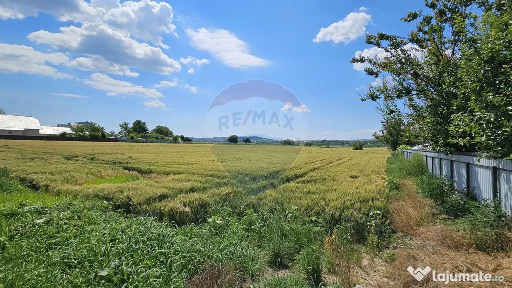 Teren 15,000mp Salcea-Prelipca, Suceava